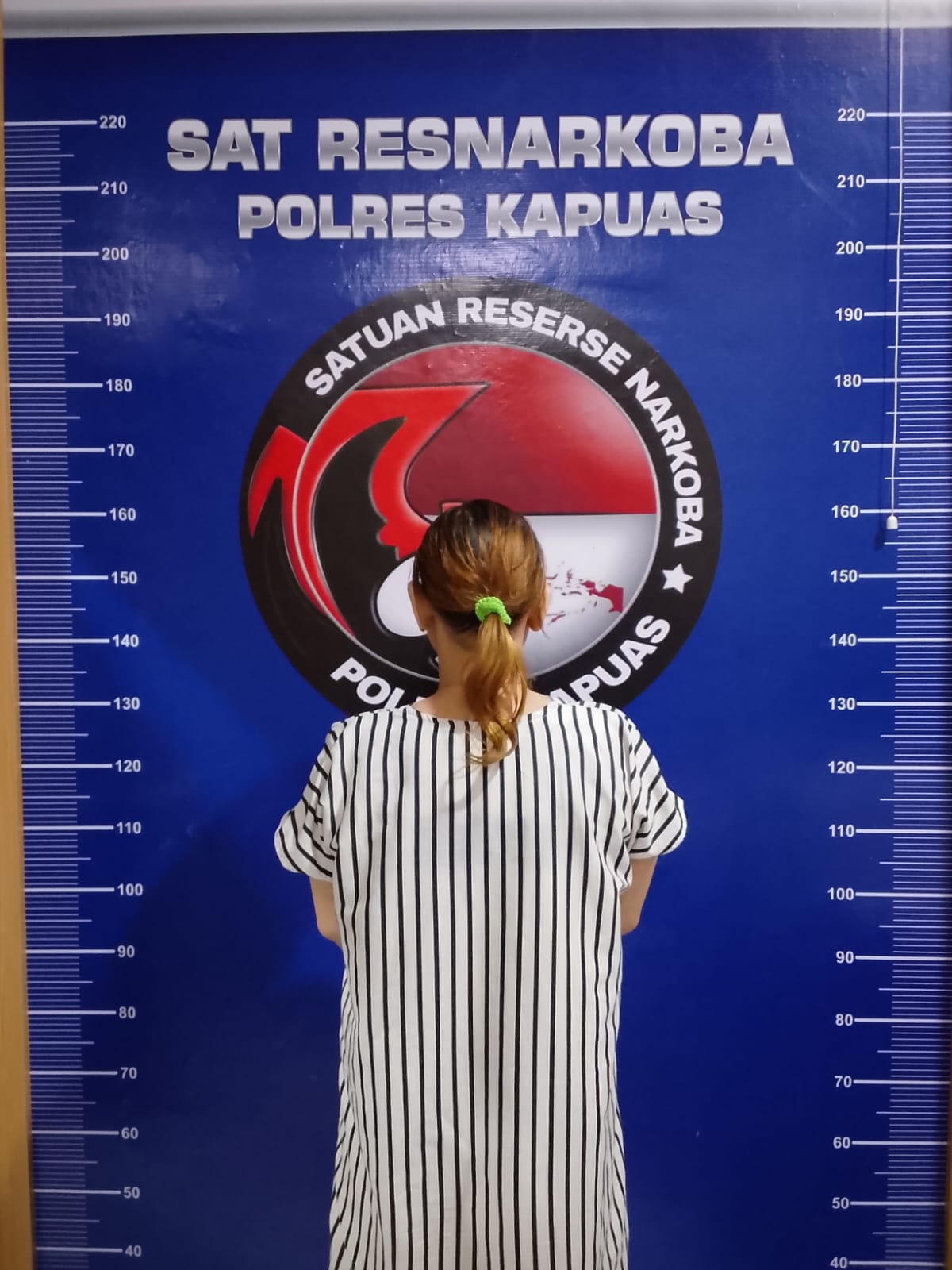 Miliki Narkotika Sabu Seorang IRT di Kapuas Ditangkap Polisi